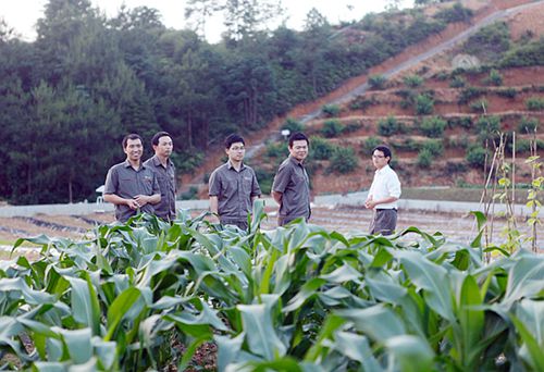 赏金船长(中国游)官方网站