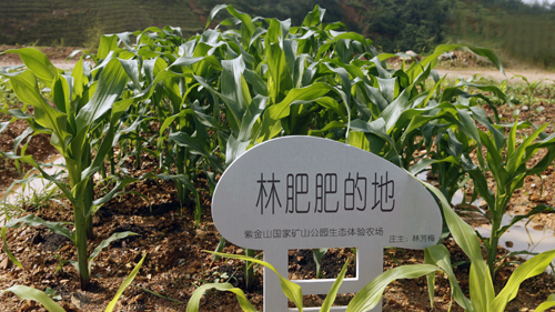 赏金船长(中国游)官方网站