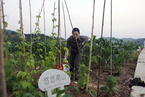 赏金船长(中国游)官方网站