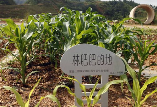 赏金船长(中国游)官方网站