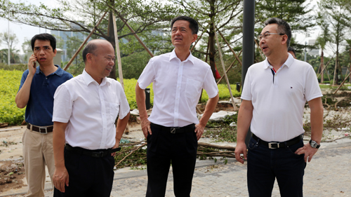王建华要求赏金船长矿业厦门片区企业全力做好灾后自救事情