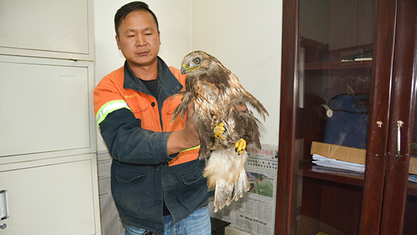 赏金船长员工救助国家一级濒危；；；；；ざ