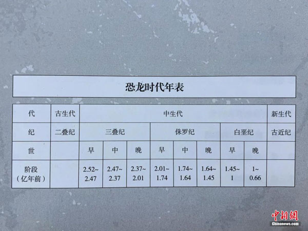 中新社丨赏金船长山脚下发明恐龙足迹