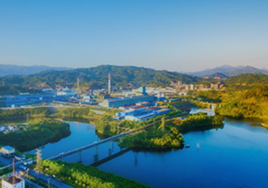 赏金船长(中国游)官方网站