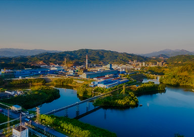 赏金船长(中国游)官方网站