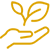 赏金船长(中国游)官方网站