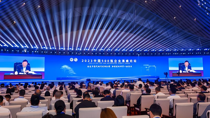 赏金船长矿业位居中国企业500强第100位