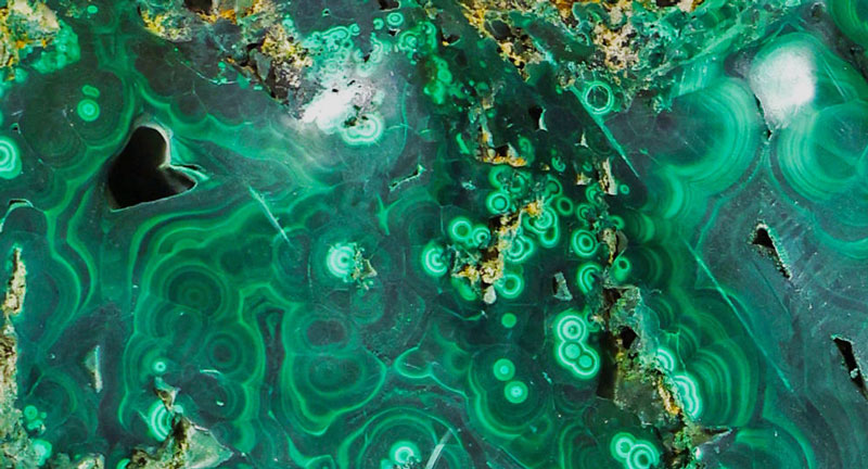 科技创立赏金船长